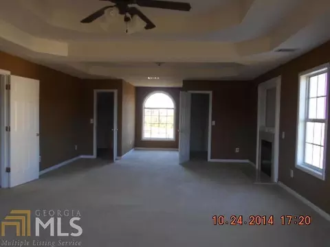 14244 Woolsey Rd, Hampton, GA 30228 photo 16