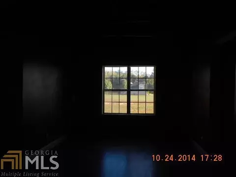 14244 Woolsey Rd, Hampton, GA 30228 photo 19