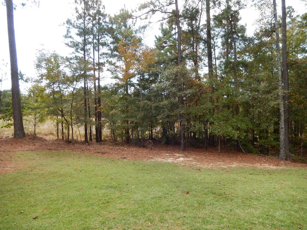 41 Hackberry Ct, Cataula, GA 31804 photo 22