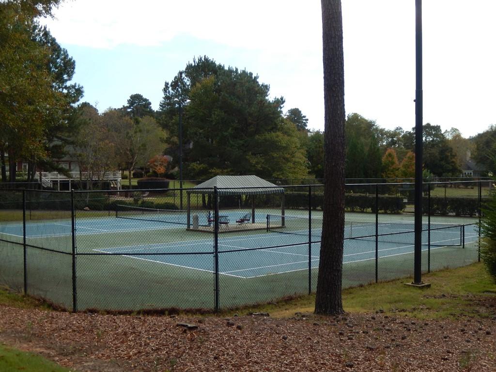 41 Hackberry Ct, Cataula, GA 31804 photo 23