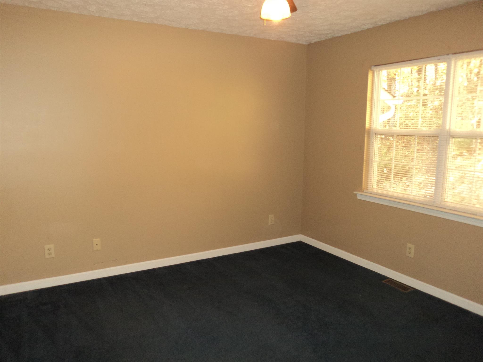 107 Stapleton Dr, Clarkesville, GA 30523 photo 11