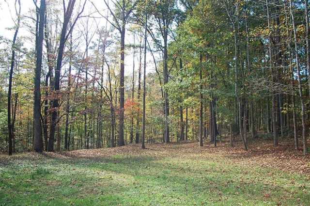 724 Ridgewood Dr, Pendergrass, GA 30567 photo 10