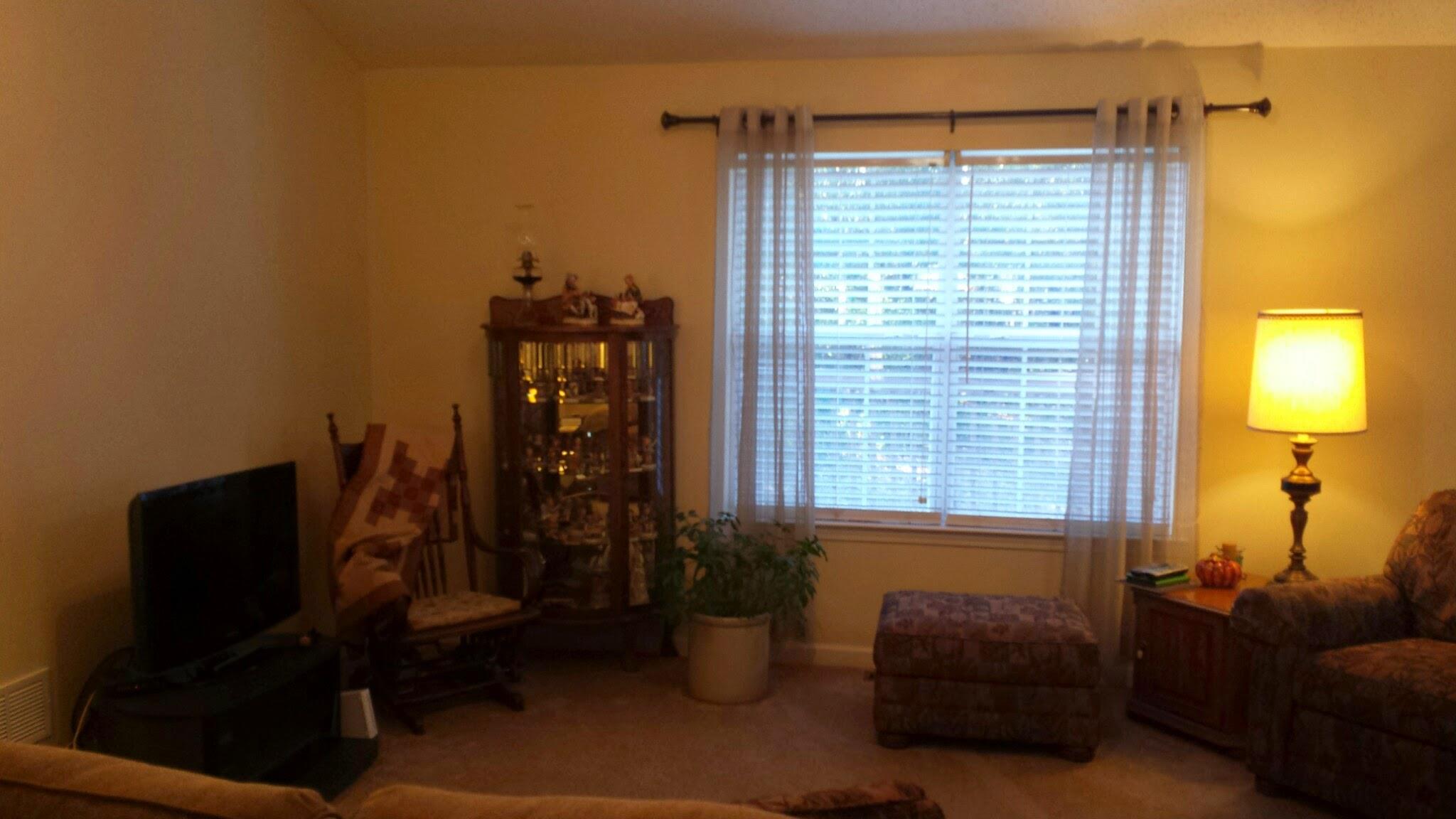 65 Riverside Ct, Hampton, GA 30228 photo 7