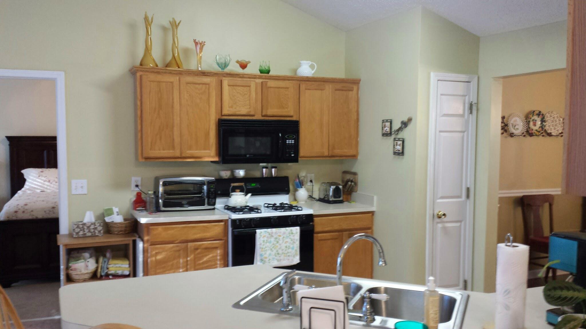 65 Riverside Ct, Hampton, GA 30228 photo 9
