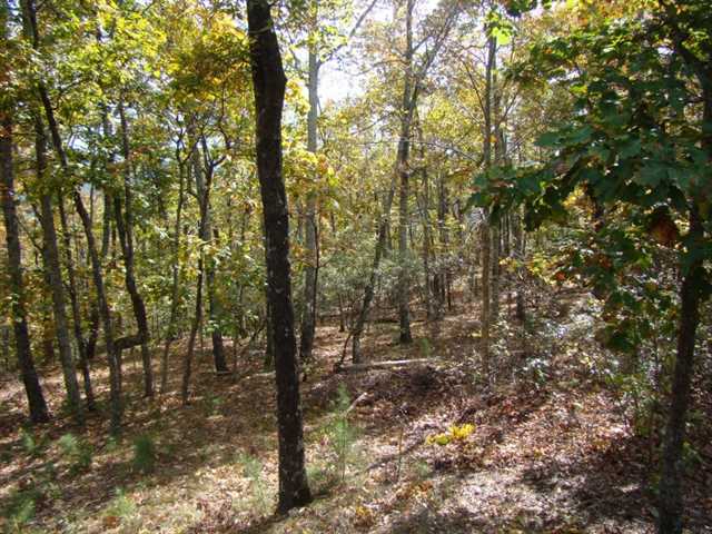1065 Hidden Brow, Cloudland, GA 30731 photo 14