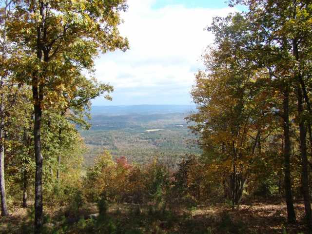 1065 Hidden Brow, Cloudland, GA 30731 photo 12