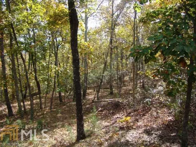  1065 Hidden Brow, Cloudland, GA 30731 photo 14