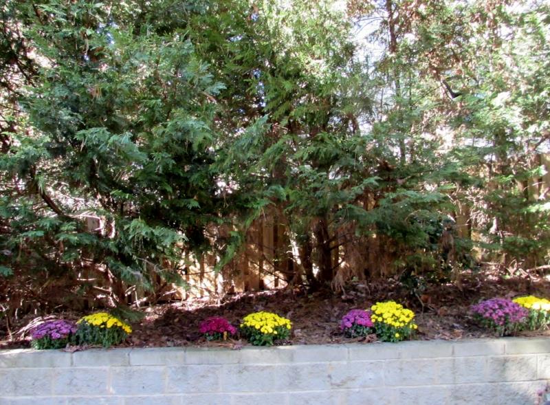 59 Walnut Grove Ct, Suwanee, GA 30024 photo 21