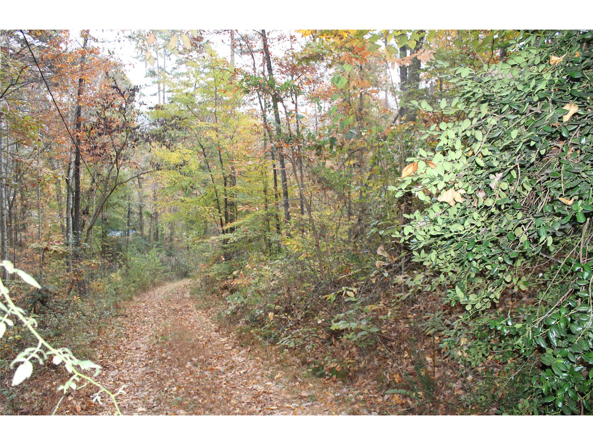 398 Harbert Valley Rd, Toccoa, GA 30577 photo 1