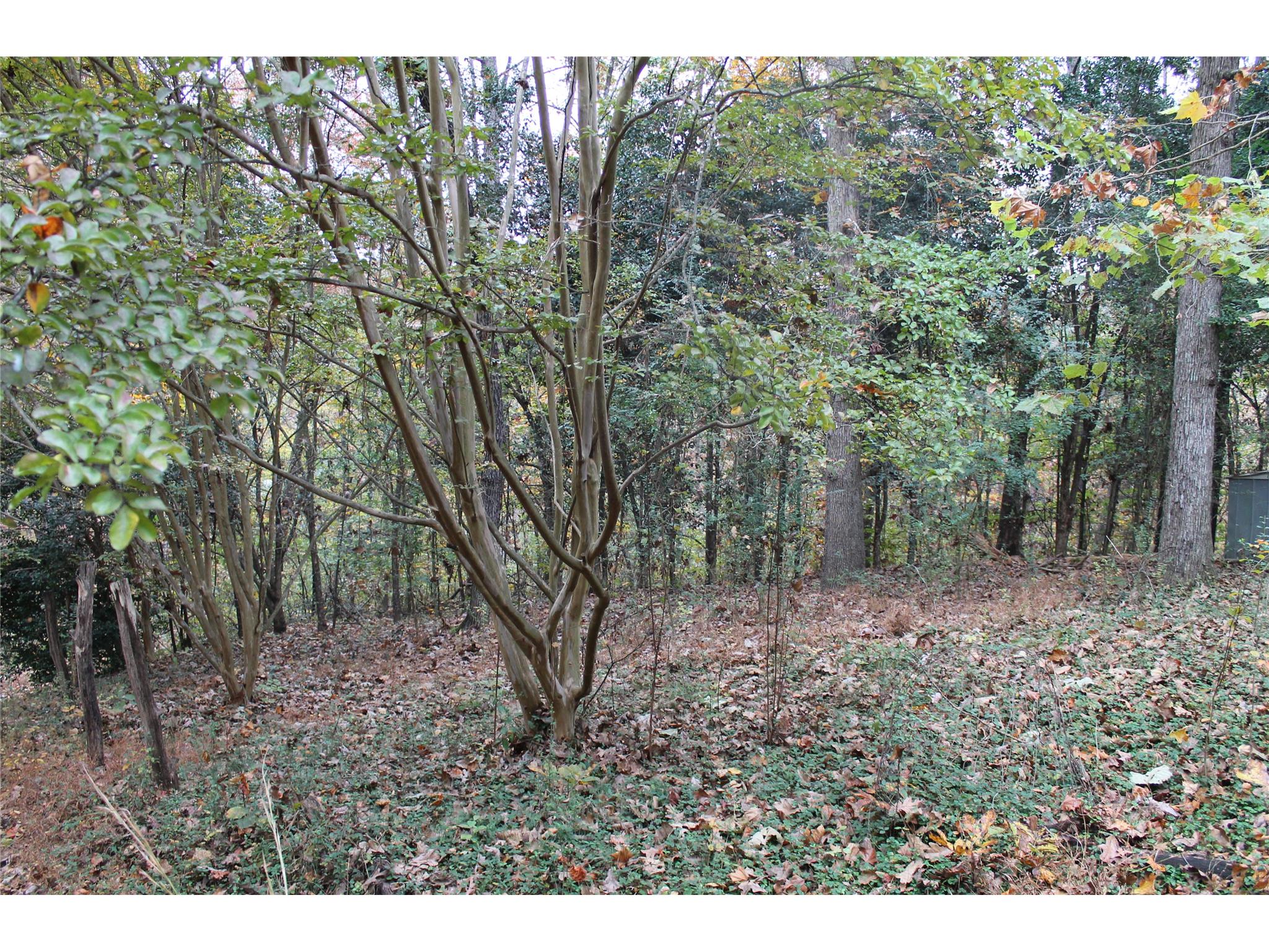 398 Harbert Valley Rd, Toccoa, GA 30577 photo 2