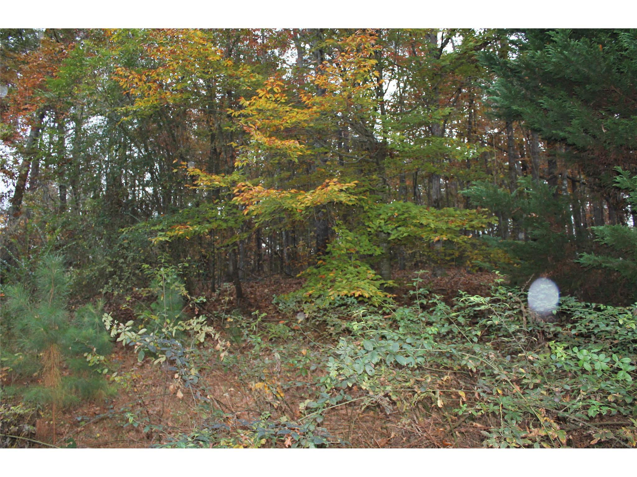 398 Harbert Valley Rd, Toccoa, GA 30577 photo 8