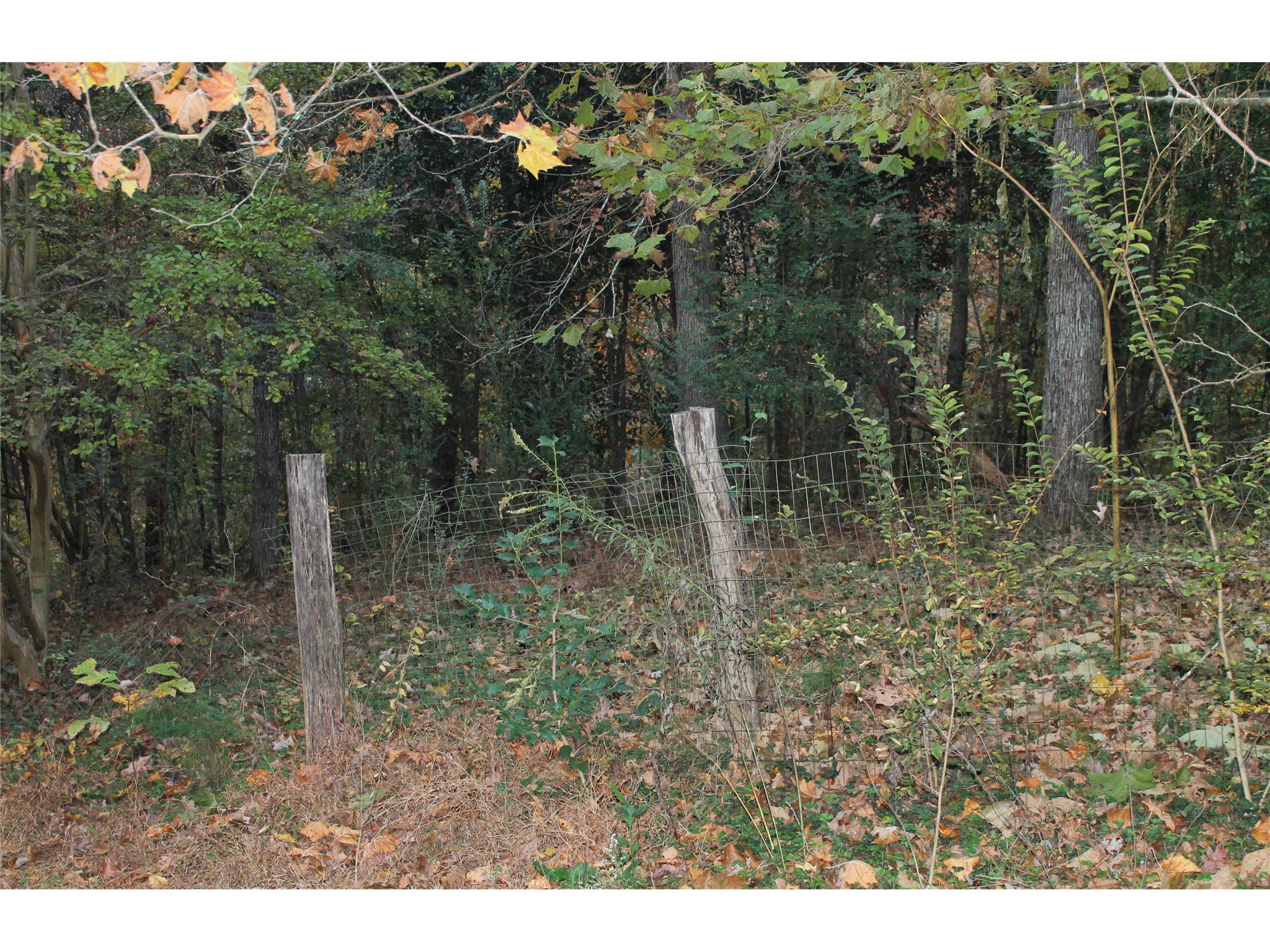 398 Harbert Valley Rd, Toccoa, GA 30577 photo 3