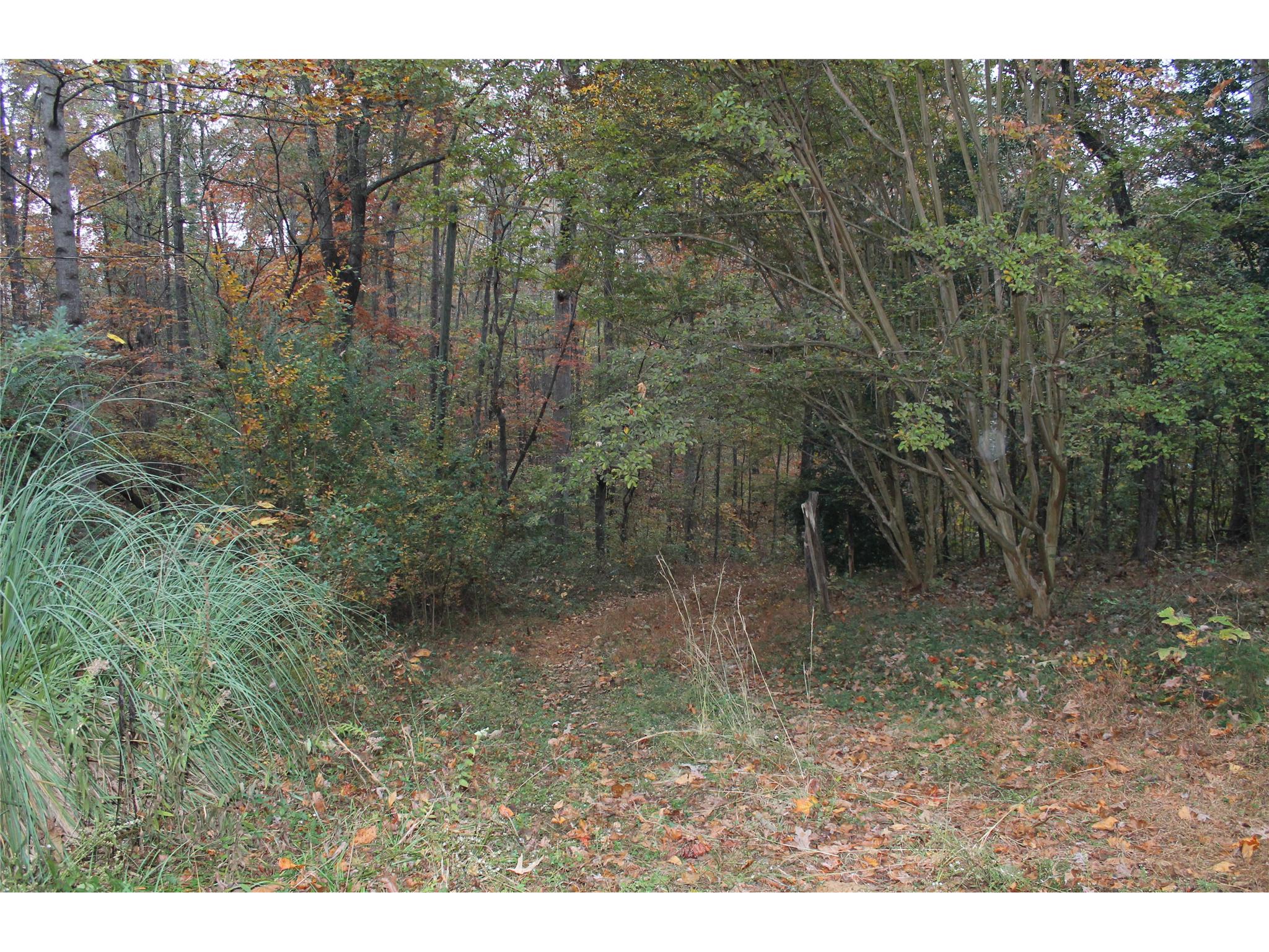 398 Harbert Valley Rd, Toccoa, GA 30577 photo 7