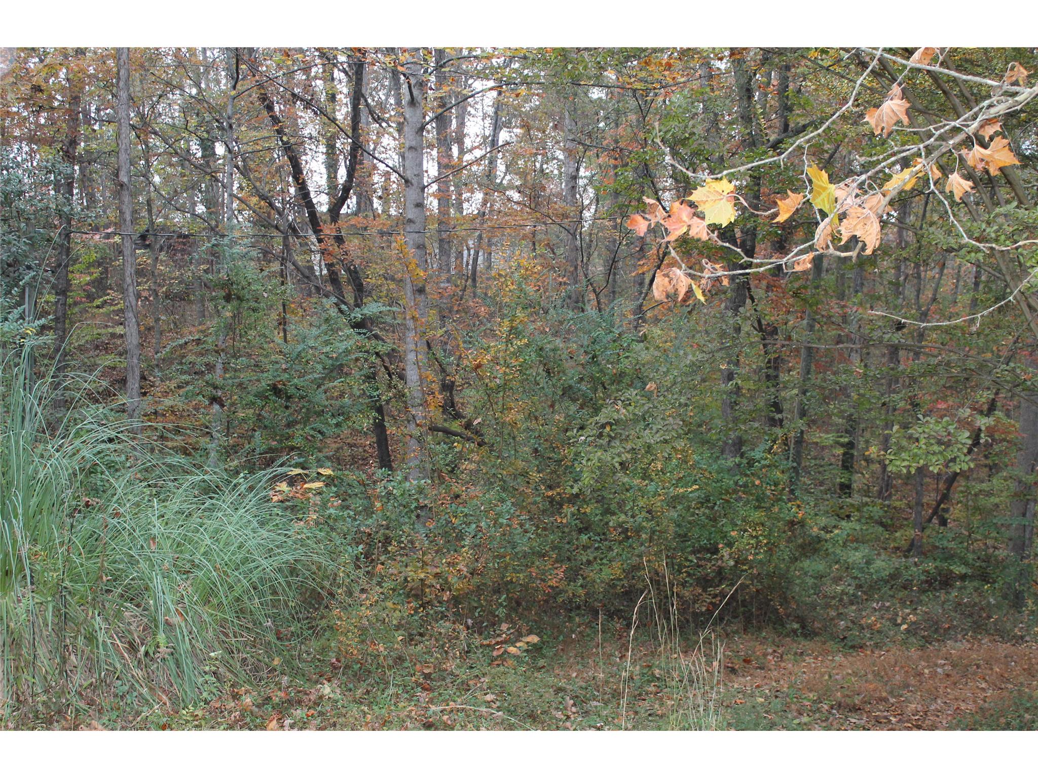 398 Harbert Valley Rd, Toccoa, GA 30577 photo 5