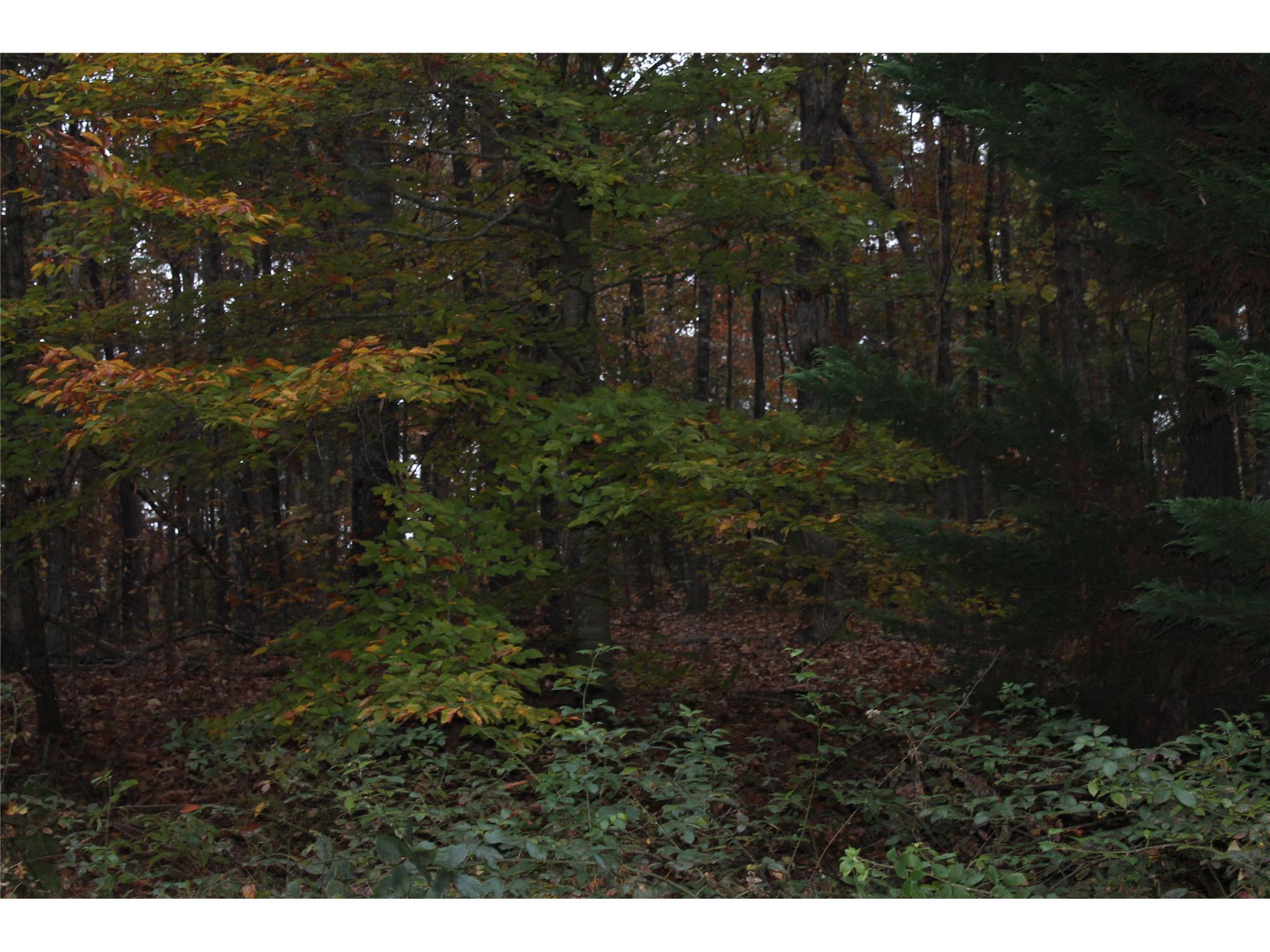 398 Harbert Valley Rd, Toccoa, GA 30577 photo 9