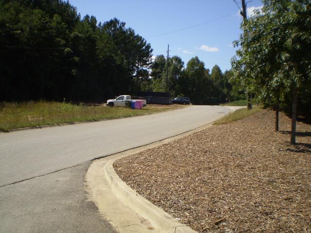 159 River Mill Dr, Ball Ground, GA 30107 photo 14