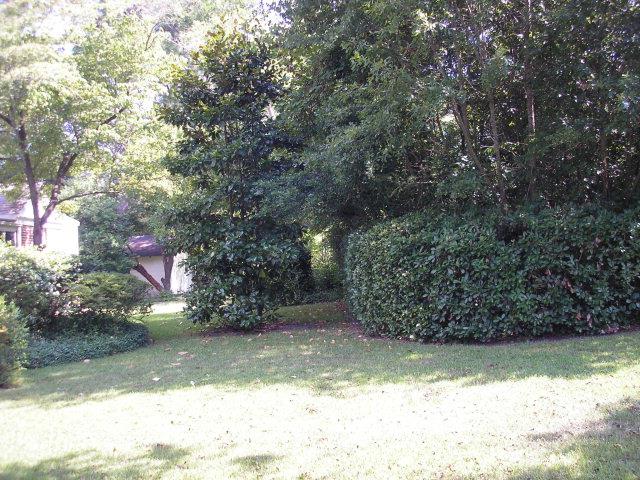 1304 Bellevue Ave, Dublin, GA 31021 photo 5