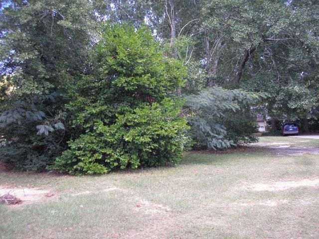1304 Bellevue Ave, Dublin, GA 31021 photo 18