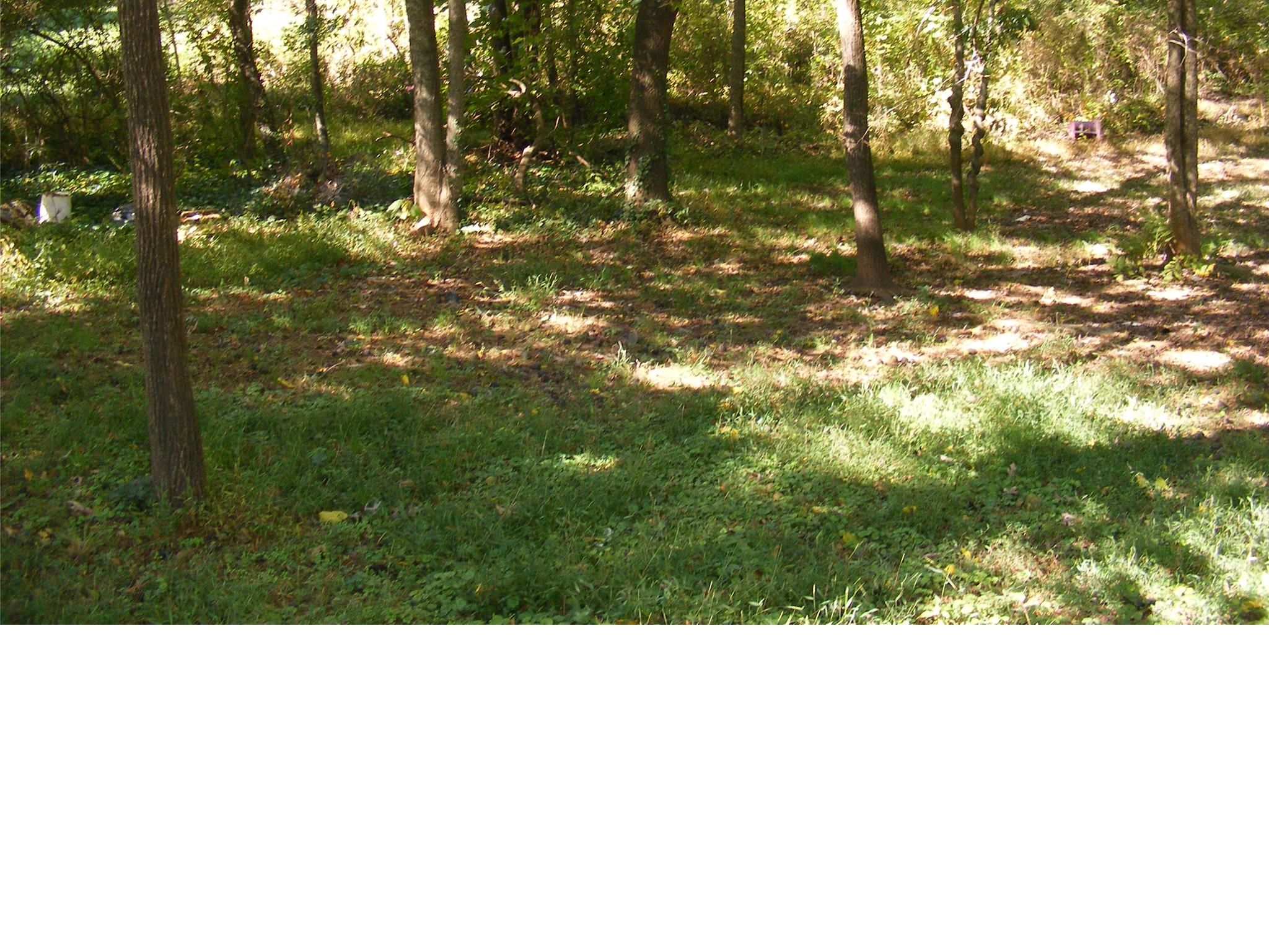 149 Slayton St, Cornelia, GA 30531 photo 4