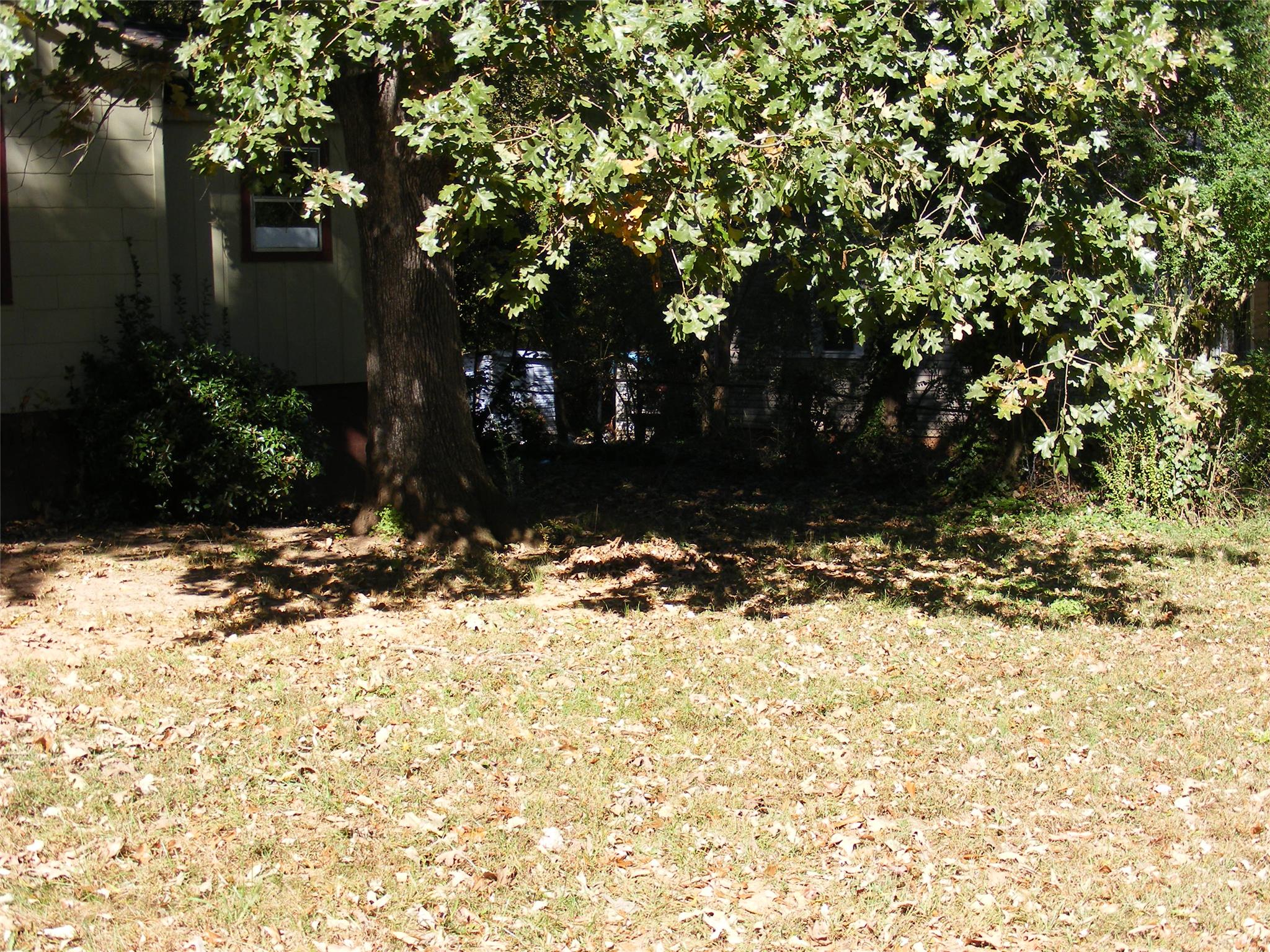 149 Slayton St, Cornelia, GA 30531 photo 11