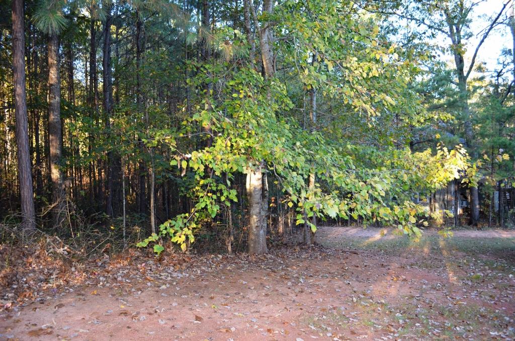 100 Greentree Trl, Temple, GA 30179 photo 21