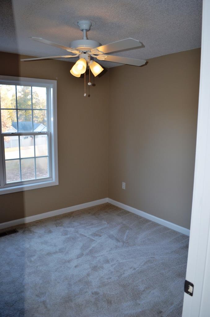 100 Greentree Trl, Temple, GA 30179 photo 11