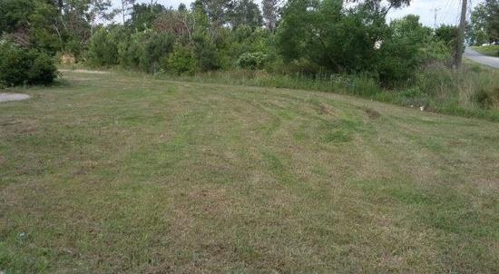 556 Beason Rd, Calhoun, GA 30701 photo 3