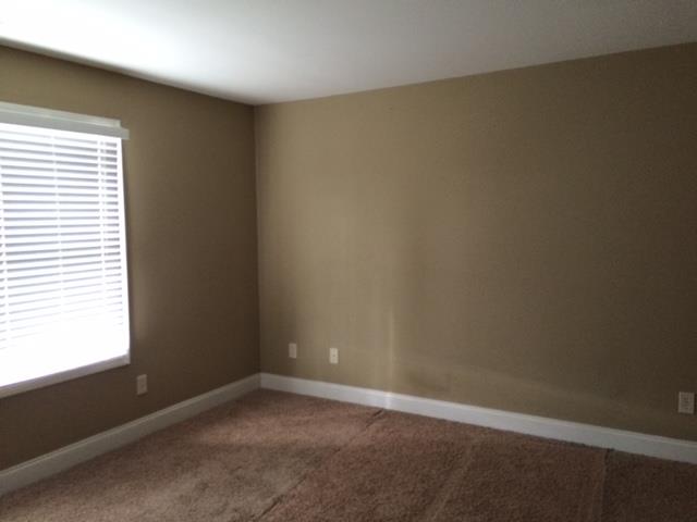 3141 Alhambra Cir, Hampton, GA 30228 photo 12