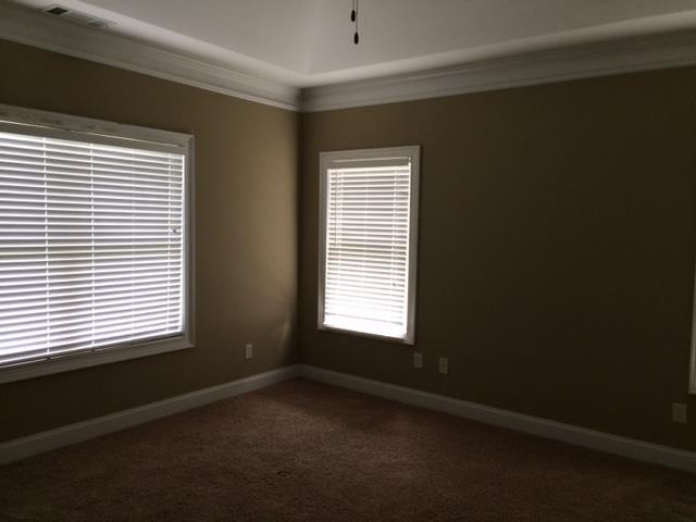 3141 Alhambra Cir, Hampton, GA 30228 photo 8