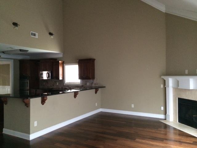 3141 Alhambra Cir, Hampton, GA 30228 photo 7