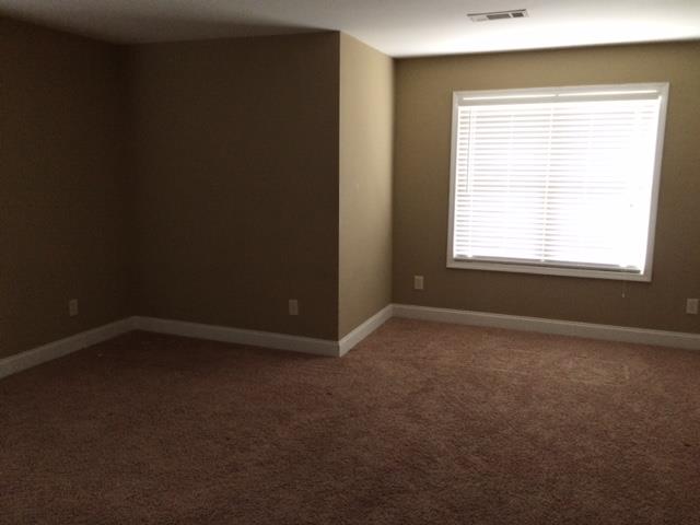 3141 Alhambra Cir, Hampton, GA 30228 photo 15