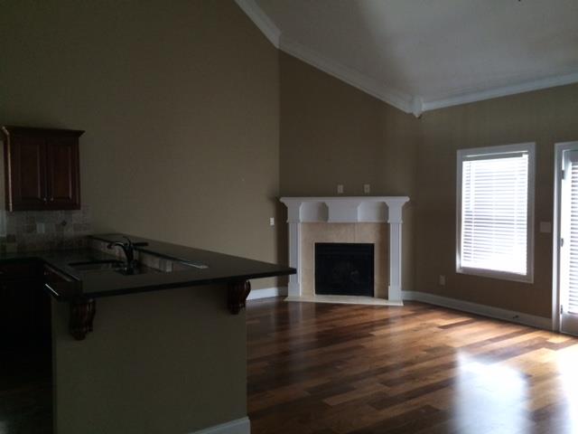 3141 Alhambra Cir, Hampton, GA 30228 photo 6