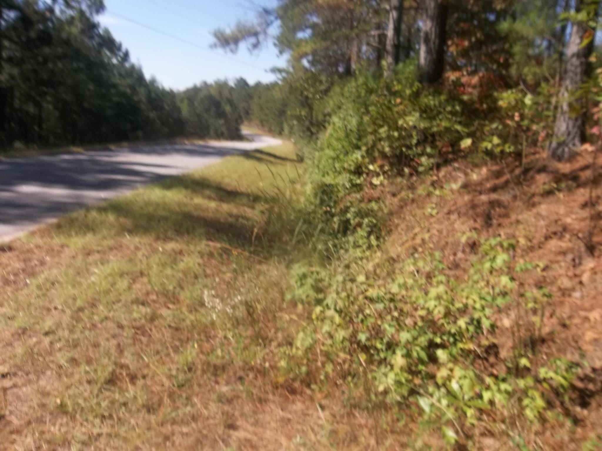 4635 Joe Stephens Rd, Franklin, GA 30217 photo 3
