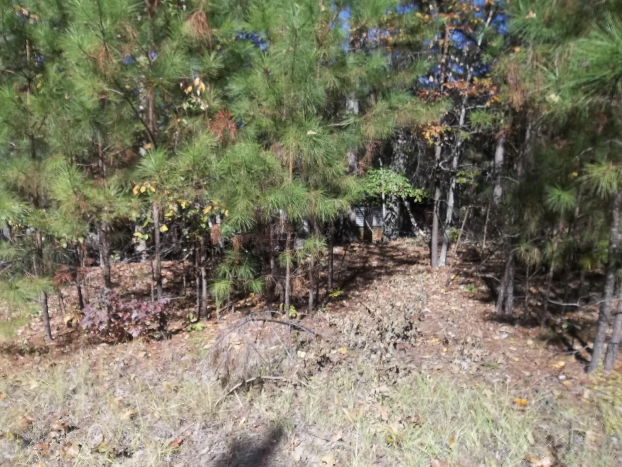4635 Joe Stephens Rd, Franklin, GA 30217 photo 2