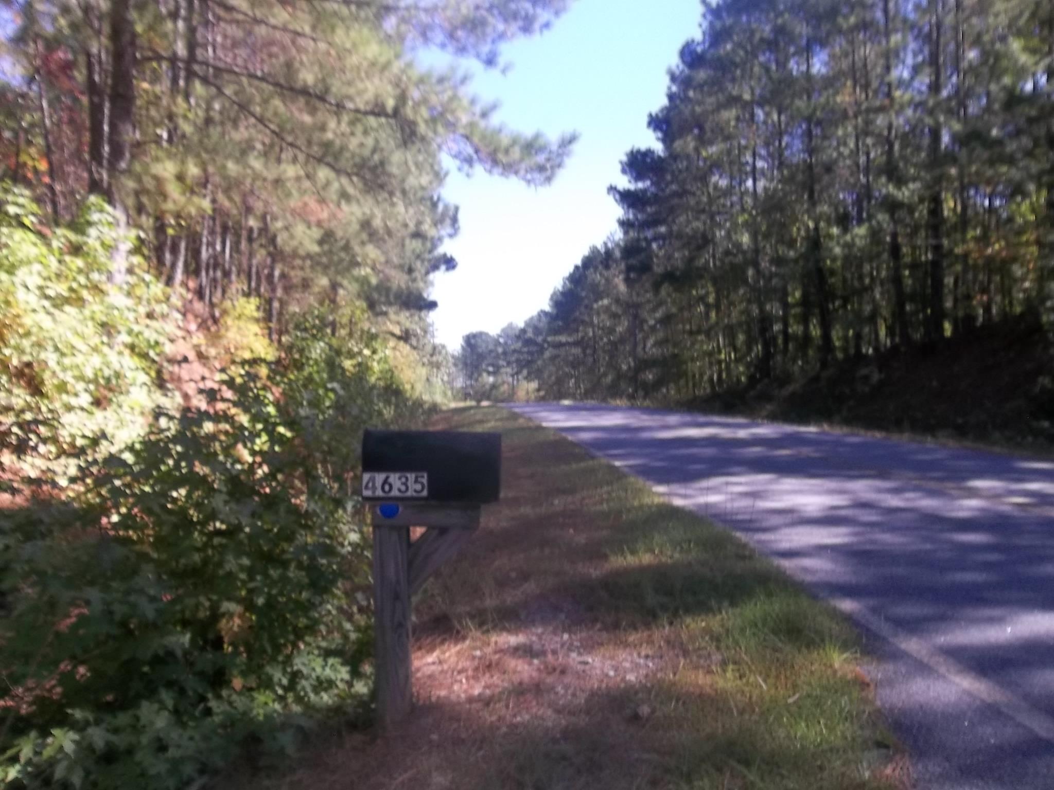 4635 Joe Stephens Rd, Franklin, GA 30217 photo 4