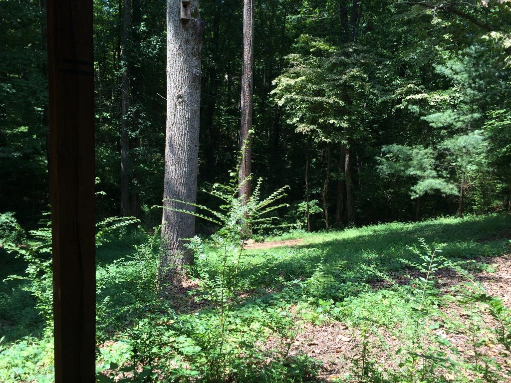 107 Apache Ridge Rd, Jasper, GA 30143 photo 14