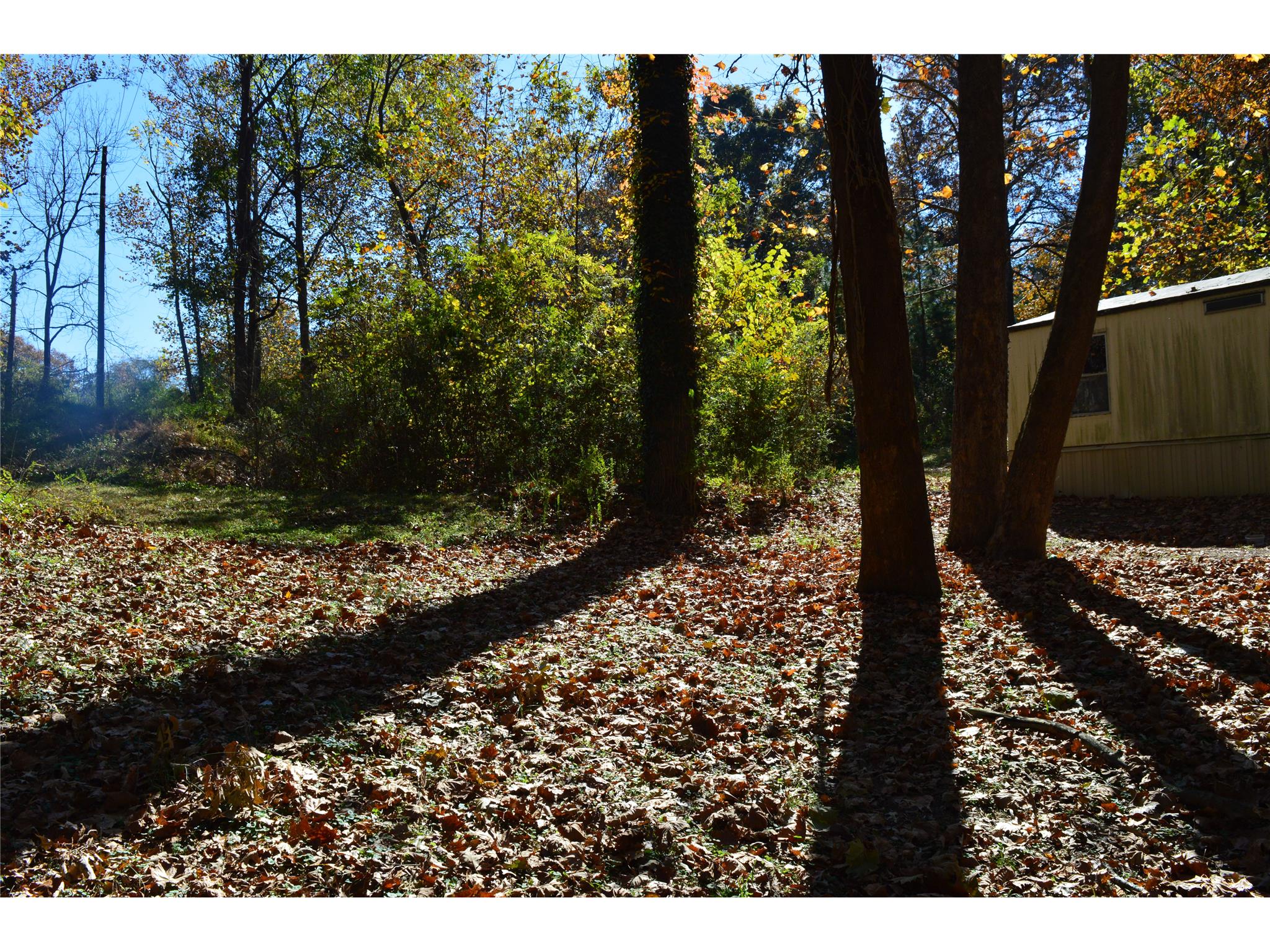 6461 Spring St, Lula, GA 30554 photo 6