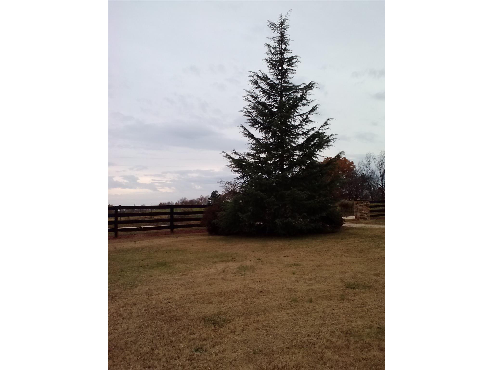 1111 Buffington Dr, Pendergrass, GA 30567 photo 24