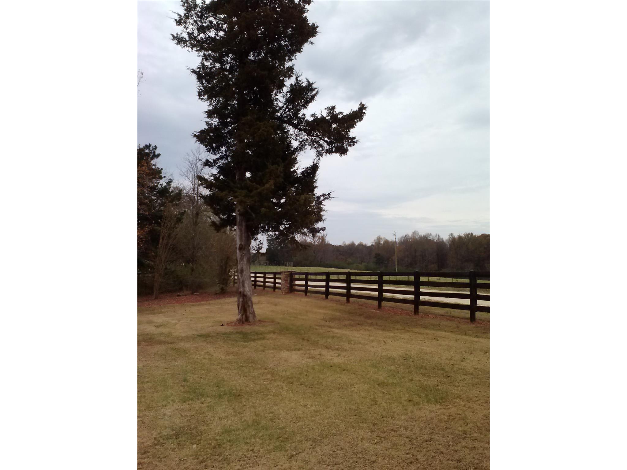 1111 Buffington Dr, Pendergrass, GA 30567 photo 25