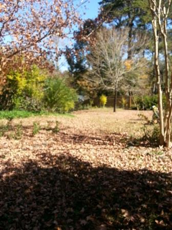 163 Settle St, Winder, GA 30680 photo 21
