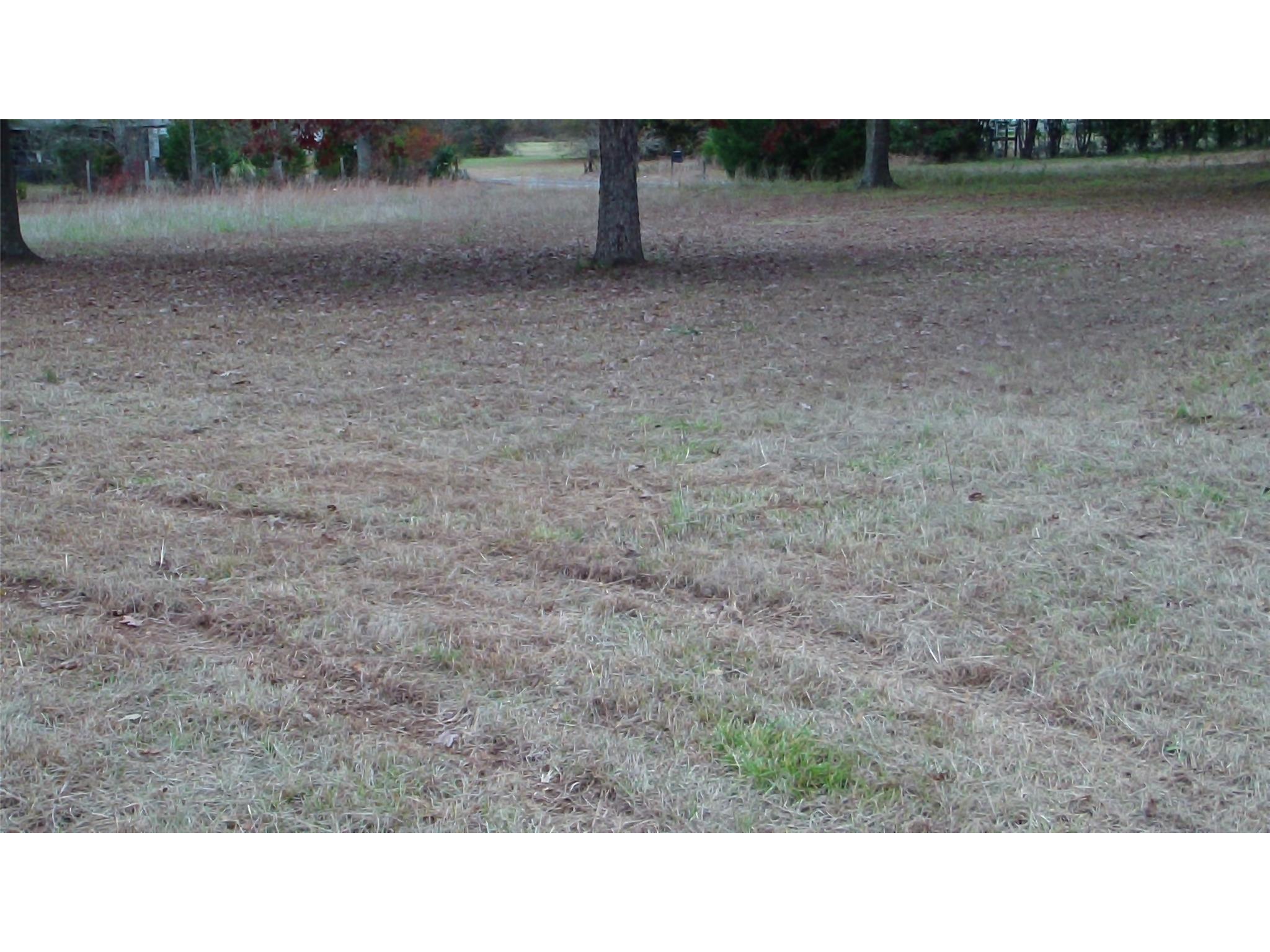 183 Shiloh Rd, Jackson, GA 30233 photo 9