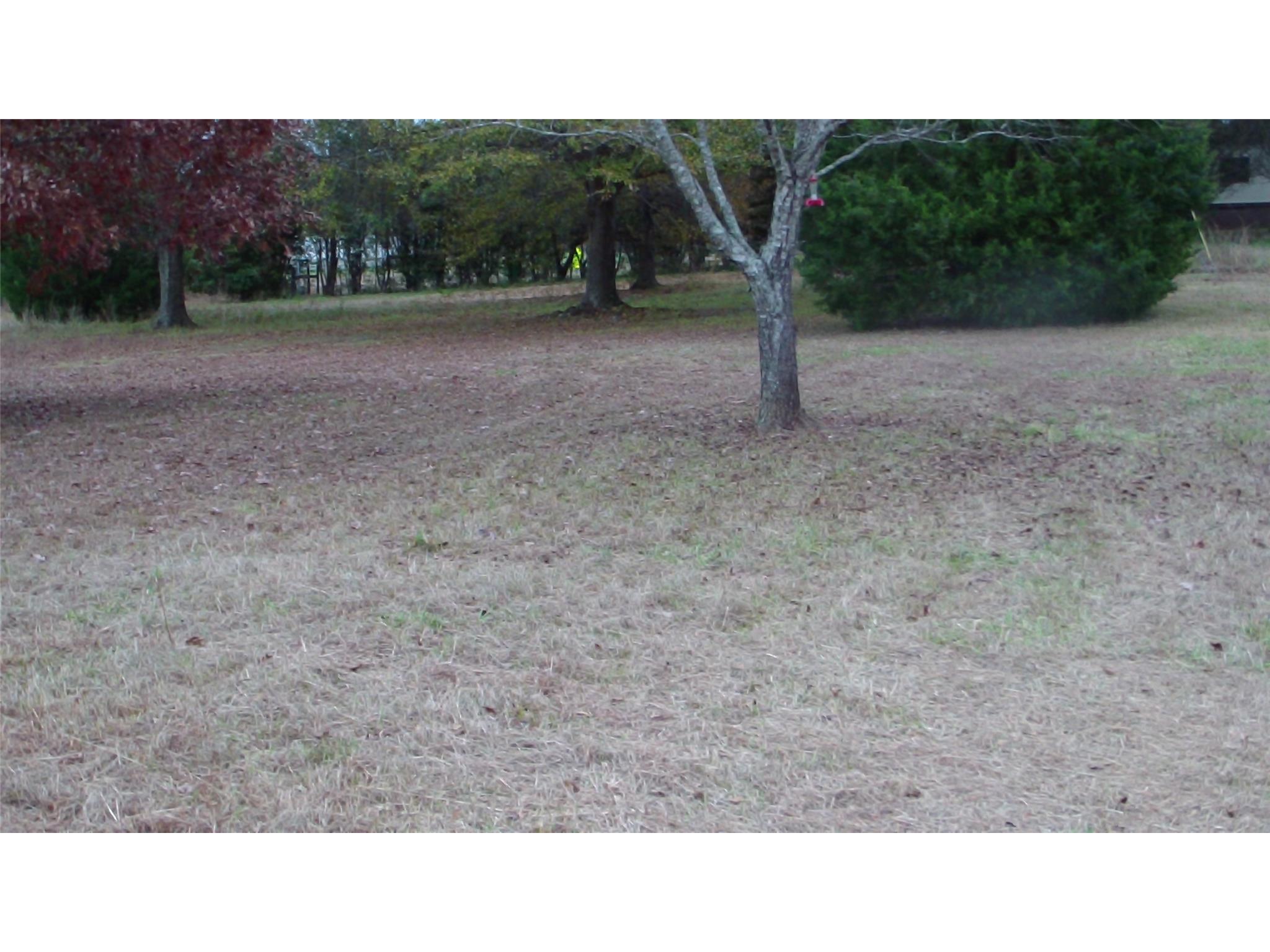 183 Shiloh Rd, Jackson, GA 30233 photo 8