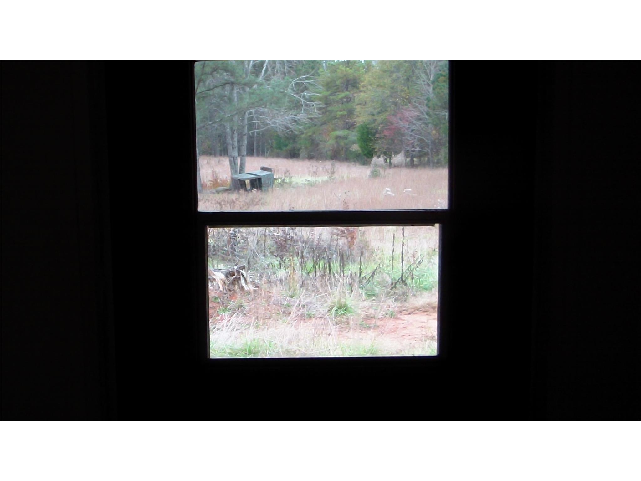 183 Shiloh Rd, Jackson, GA 30233 photo 12