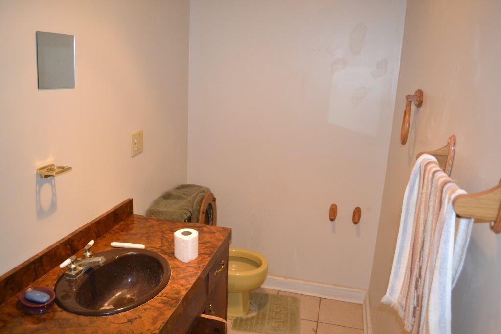 3329 Turtleback Rd, Gainesville, GA 30506 photo 21