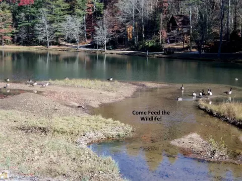 596 Moses Rd, Rabun Gap, GA 30568 photo 20