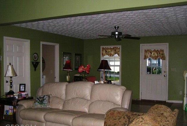 253 Scout Island Rd, Jackson, GA 30233 photo 8