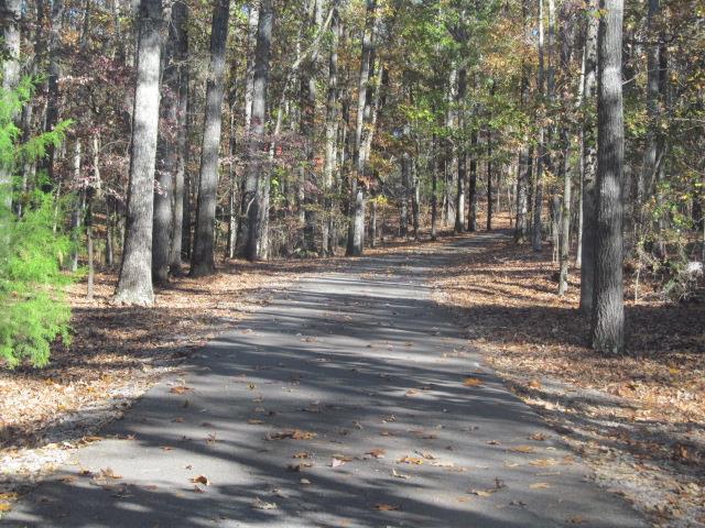 774 Newton Rd, Lagrange, GA 30240 photo 15