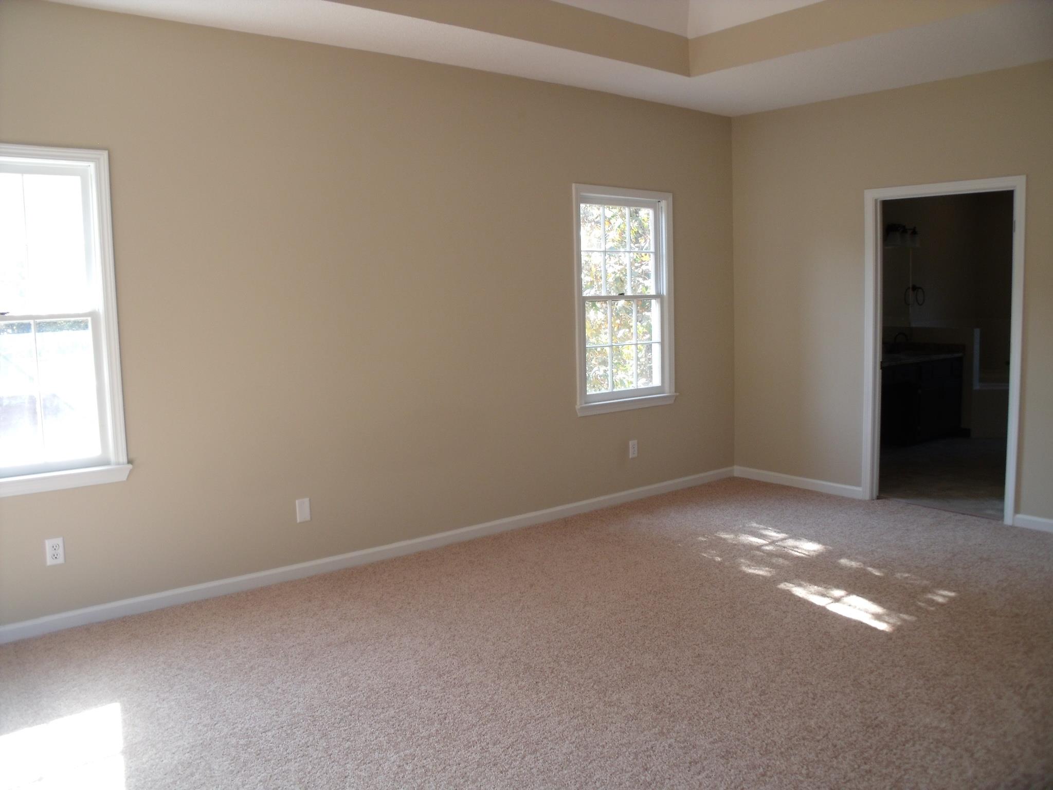 94 Daniel Ct, Mcdonough, GA 30253 photo 17
