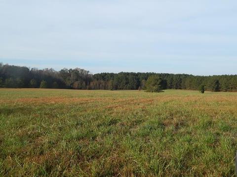 1990 Mt Vernon Rd, Monroe, GA 30656 photo 1