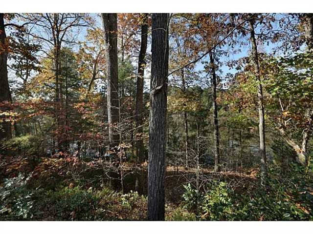 175 White Columns Dr, Milton, GA 30004 photo 22